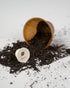 TreePlanting Kit Wild Pear Tree
